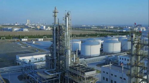 砥礪奮進五年間 奎屯—獨山子經(jīng)濟技術(shù)開發(fā)區(qū)榮獲兩項國家級殊榮，技術(shù)轉(zhuǎn)讓成果顯著