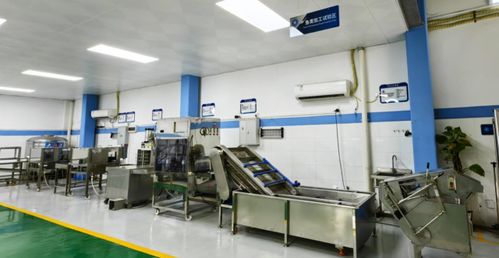 技術(shù)賦能，智造未來——廣東省農(nóng)裝院引領(lǐng)水產(chǎn)養(yǎng)殖與加工新趨勢(shì)